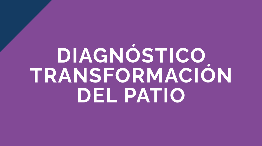 Diagnóstico del proceso participativo de transformación del patio
